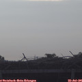 08_20-mast.jpg