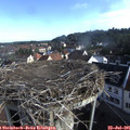 08_20-nest.jpg