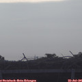 08_25-mast.jpg