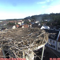 08_25-nest.jpg