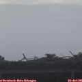 08_30-mast.jpg