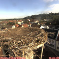 08_30-nest.jpg
