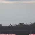 08_35-mast.jpg