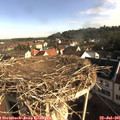 08_35-nest.jpg