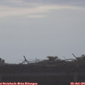 08_40-mast.jpg