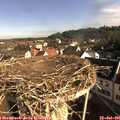 08_40-nest.jpg
