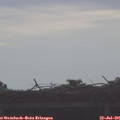 08_45-mast.jpg