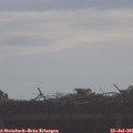 08_50-mast.jpg