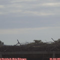 09_05-mast.jpg