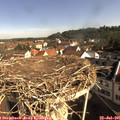 09_15-nest.jpg