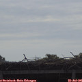 09_20-mast.jpg