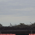 09_25-mast.jpg