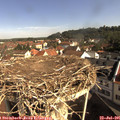 09_30-nest.jpg