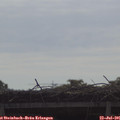 09_35-mast.jpg