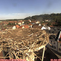 09_35-nest.jpg
