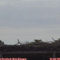 09_40-mast.jpg