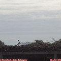 10_00-mast.jpg