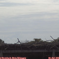 10_05-mast.jpg