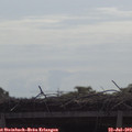 10_15-mast.jpg