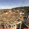 10_15-nest.jpg