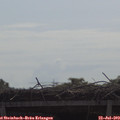 10_25-mast.jpg