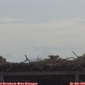 10_30-mast.jpg