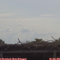 10_35-mast.jpg