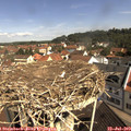 10_35-nest.jpg