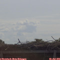 10_40-mast.jpg