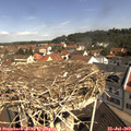 10_40-nest.jpg
