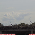 10_45-mast.jpg