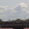 11_00-mast.jpg