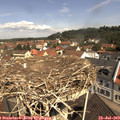 11_05-nest.jpg