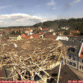 11_10-nest.jpg