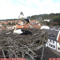12_30-nest.jpg