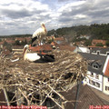 13_10-nest.jpg