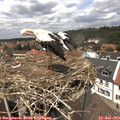 13_15-nest.jpg