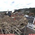 13_30-nest.jpg