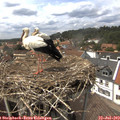 14_35-nest.jpg