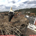 14_40-nest.jpg