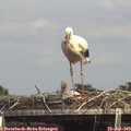 15_05-mast.jpg