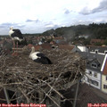 15_05-nest.jpg