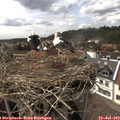 15_40-nest.jpg