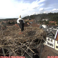 16_05-nest.jpg