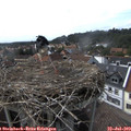 16_25-nest.jpg