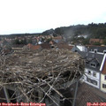 16_30-nest.jpg