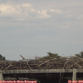 16_35-mast.jpg