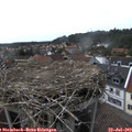 16_35-nest.jpg