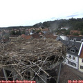 16_45-nest.jpg