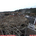 16_55-nest.jpg